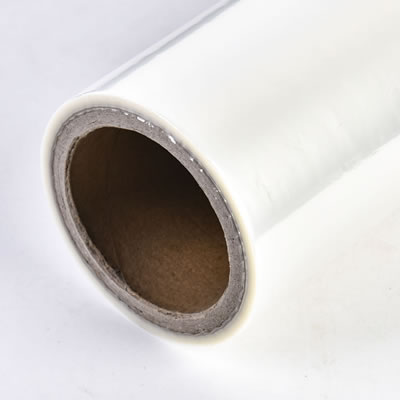Advanced Plastic Sheet Extrusion by Rayshape
