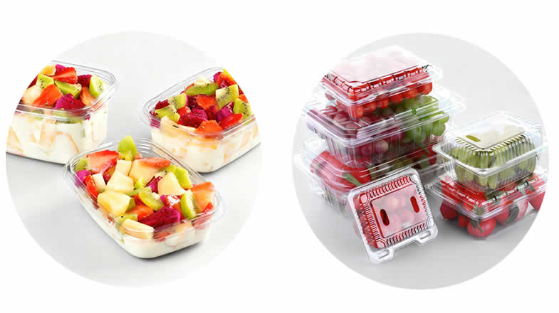 Four-Station Plastic Thermoforming Machine