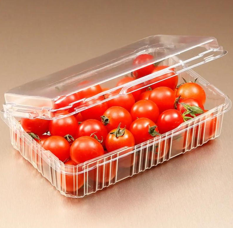 Advanced Features in Modern Plastic Thermoforming Machine