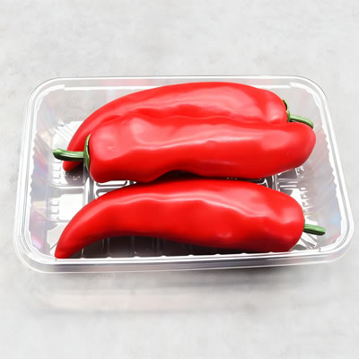 Multi Station Thermoforming Machine for Precision Egg Tray Production