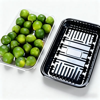 The Power of Precision in a Compact Design: Wenzhou Rayshape’s Small Thermoforming Machines