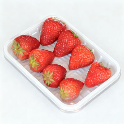 Advanced Plastic Container Machine for Modern Packaging Lines