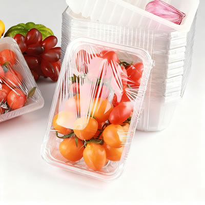 Durable Food Box Machine for Professional Catering Supplies