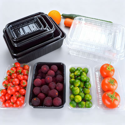 Leading Plastic Thermoforming Machine Enterprise in Binhai New Area