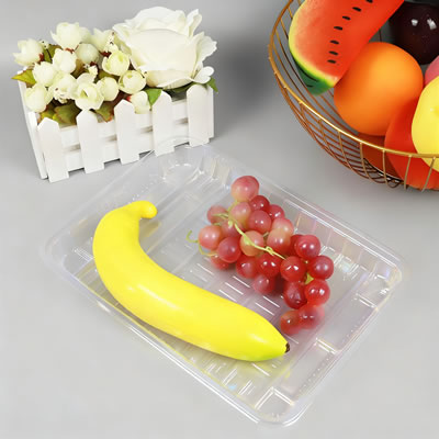 Reliable Egg Tray Making Machine for Poultry Packaging