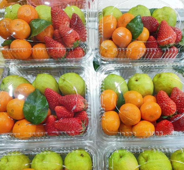 Advanced Bowl Making Machine Capabilities for Ready-Meal Packaging