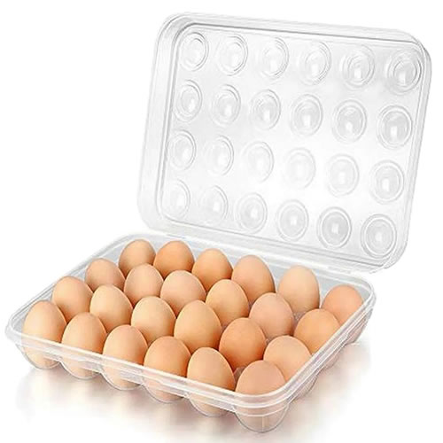 The Power of Precision in a Compact Design: Wenzhou Rayshape’s Small Thermoforming Machines