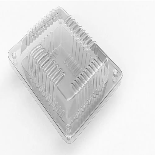 High Speed Plastic Thermoforming Machine Solutions from Rayshape