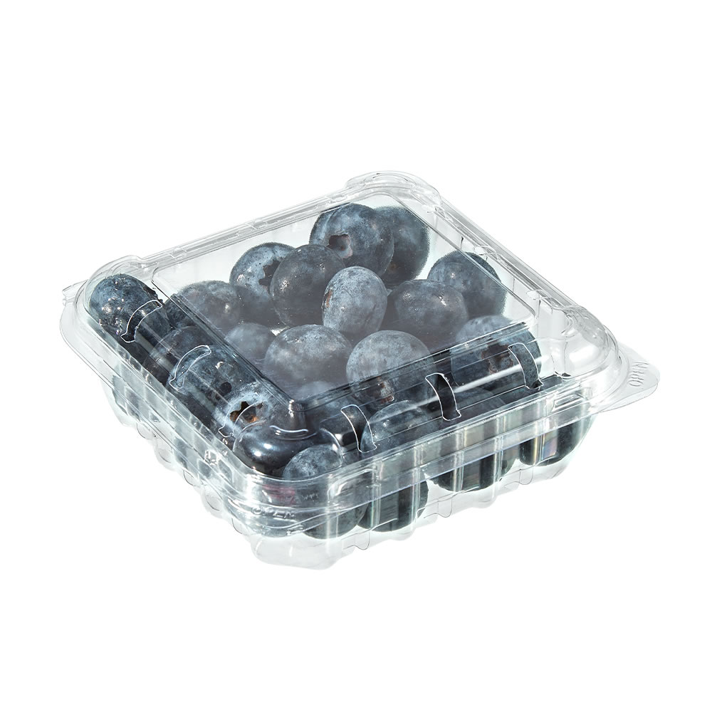 Plastic Thermoforming Machine