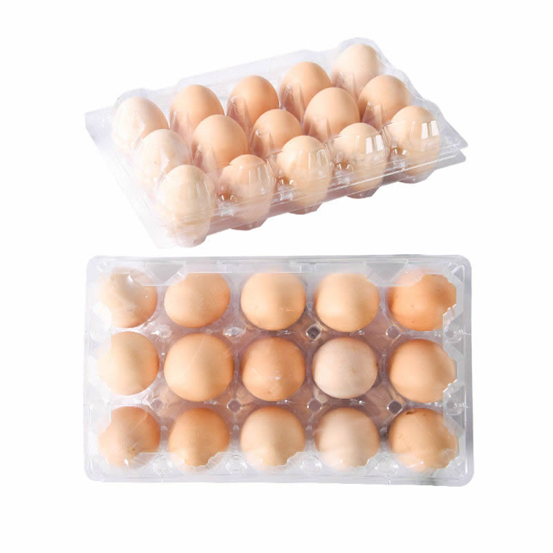 Plastic Thermoforming Machine