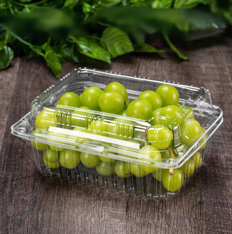 Advanced Bowl Making Machine Capabilities for Ready-Meal Packaging