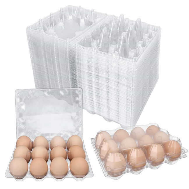 Plastic Thermoforming Machine