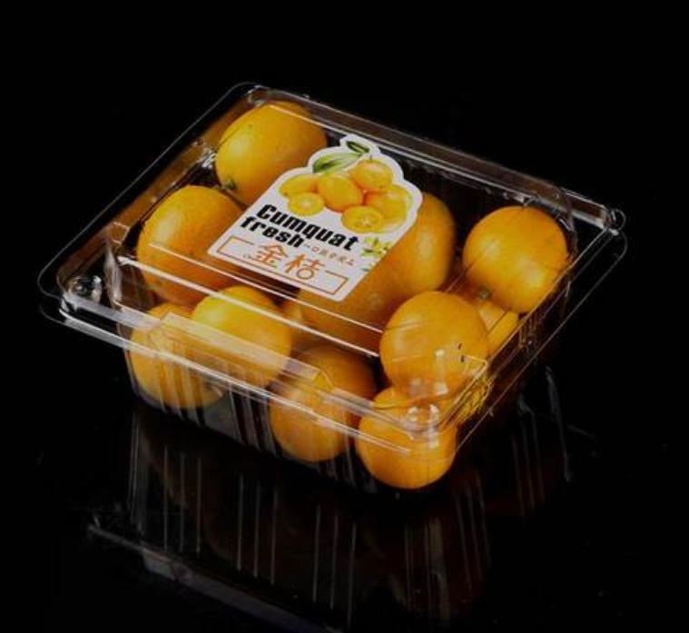 Understanding the Basics of a Thermoforming Machine