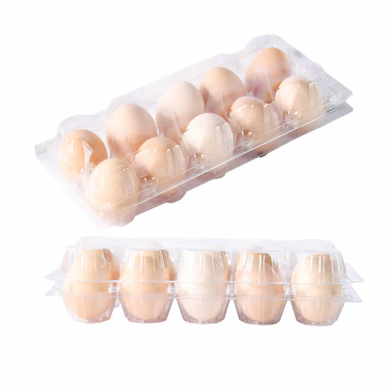 Sustainable PET Thermoforming Machine for Eco Friendly Packaging