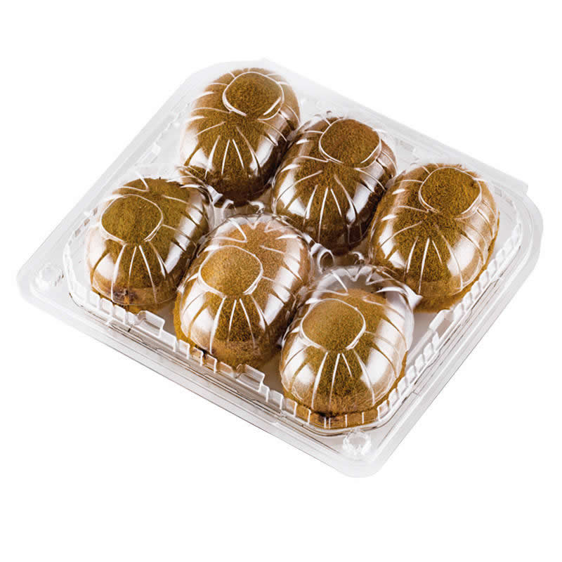 Automatic Plastic Box Making Machine for Global Supply Chains