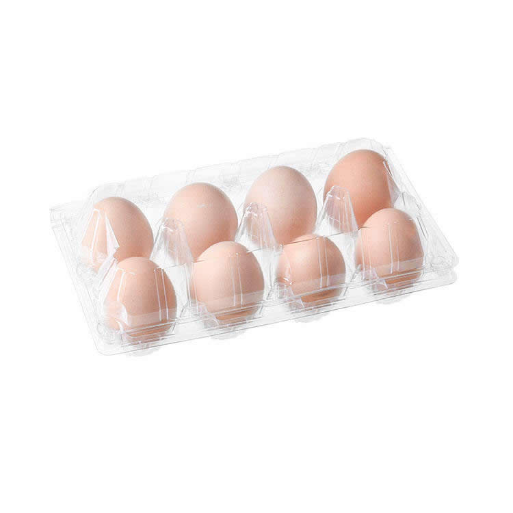 Durable Food Box Machine for Professional Catering Supplies