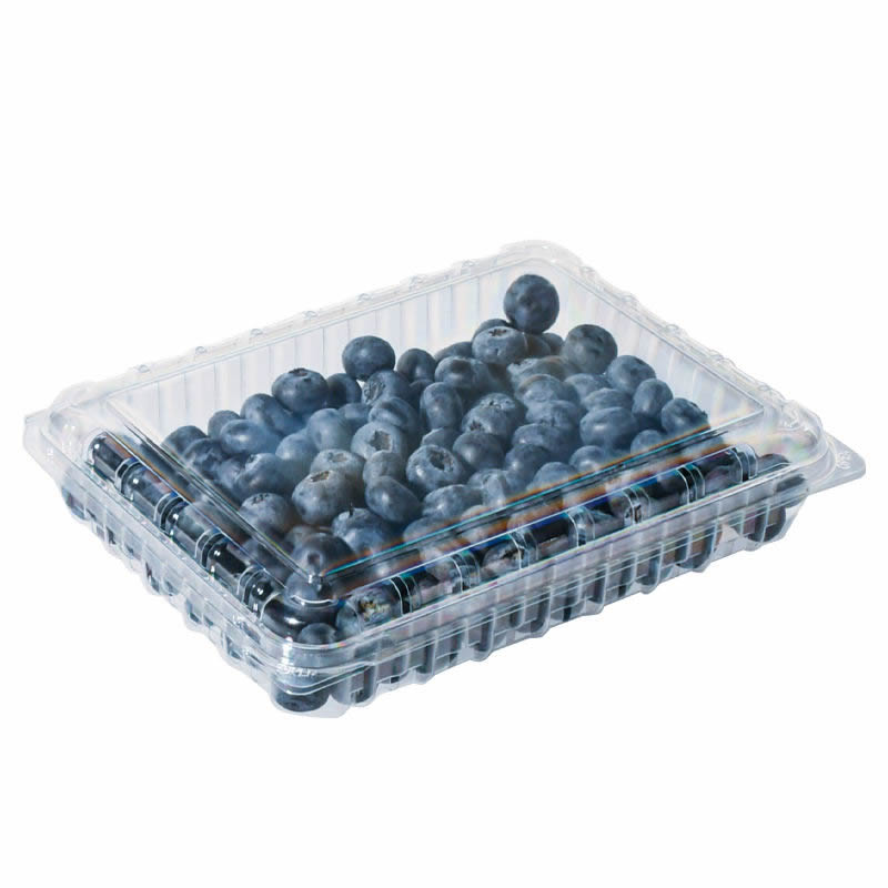 Durable Food Box Machine for Professional Catering Supplies