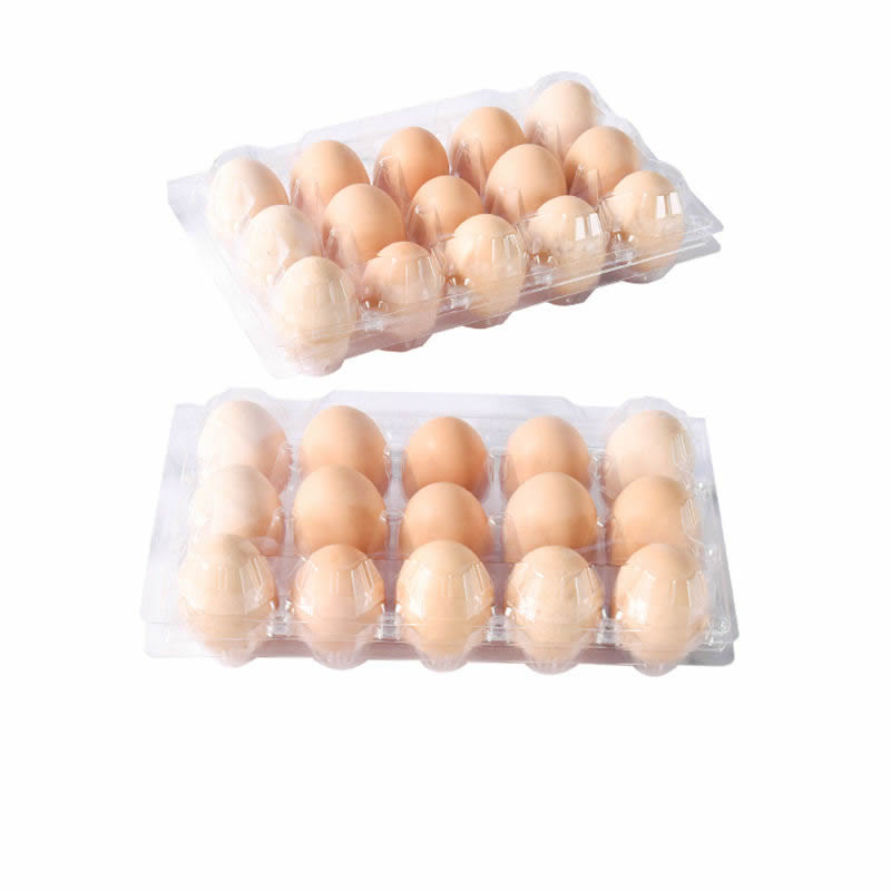 Plastic Container Machine