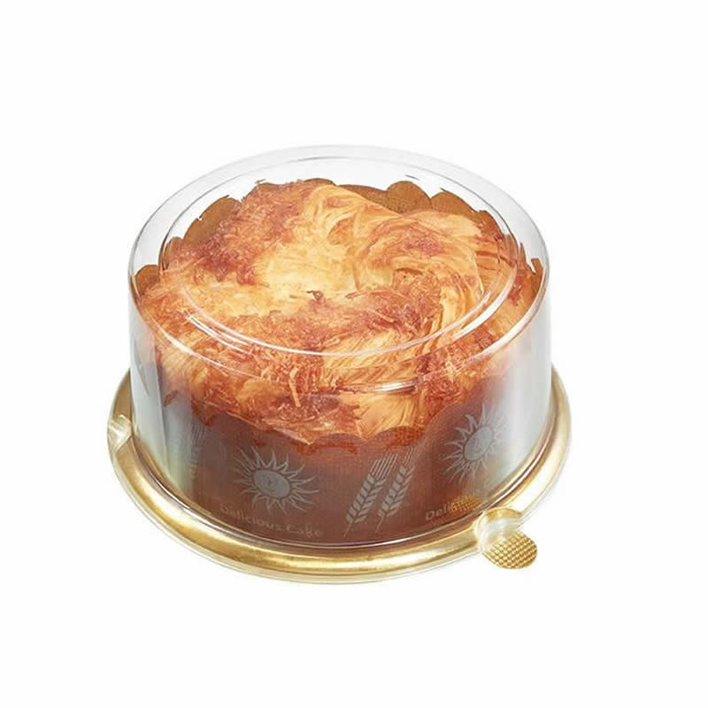 High Capacity Plastic Container Making Machine for Food Logistics