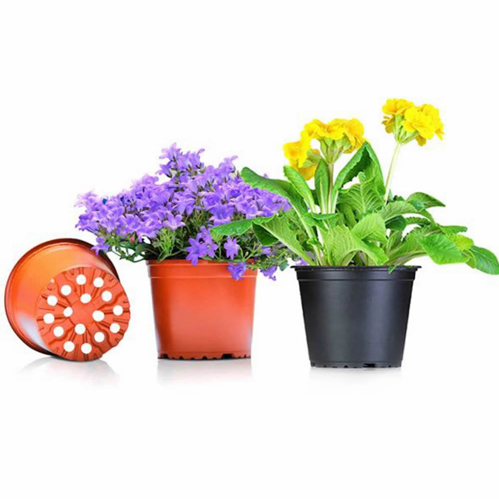 Leading Plastic Thermoforming Machine Enterprise in Binhai New Area