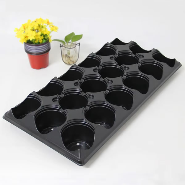 Leading Plastic Thermoforming Machine Enterprise in Binhai New Area