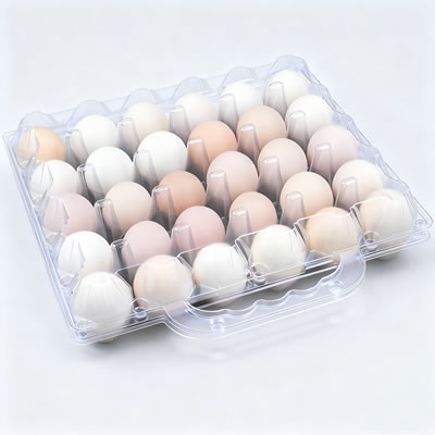 The Advanced Multi Station Thermoforming Machine for Egg Trays