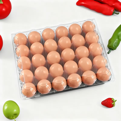 Plastic forming machine