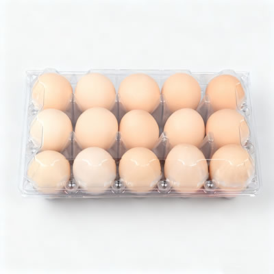 Fruit Box Making Machine for Global Agricultural Logistics