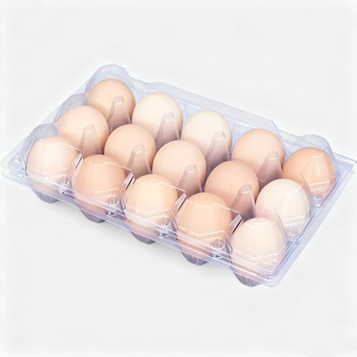 Boosting Efficiency in a High-Speed Cup Production Line​