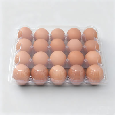 Leading Plastic Thermoforming Machine Enterprise in Binhai New Area