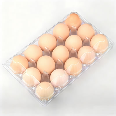 Plastic Container Machine Efficiency for Polypropylene Packaging