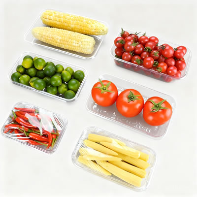 Fruit Box Making Machine Innovations by Rayshape Machinery