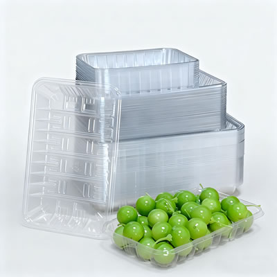 RAYSHAPE Fully Automatic Plastic Thermoforming Machine: Remote Control, Leading the Future