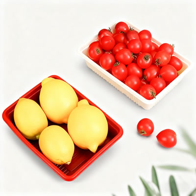 Thermoforming Machine