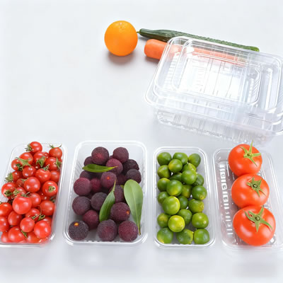 Fruit Box Making Machine for Global Agricultural Logistics