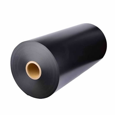 Advanced Plastic Sheet Extruders by Wenzhou Rayshape