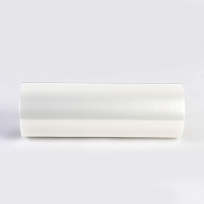 Advanced Plastic Sheet Extruders by Wenzhou Rayshape