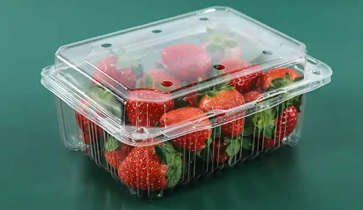 Four-Station Plastic Thermoforming Machine