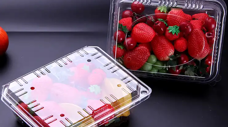 Plastic Thermoforming Machine