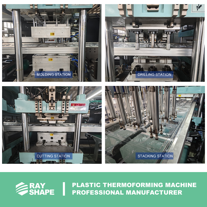 PET plastic thermoforming machine for food packaging