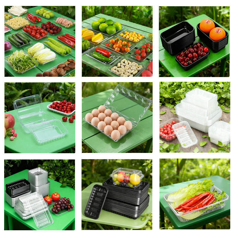 Food grade PP plastic food container making thermoforming machine