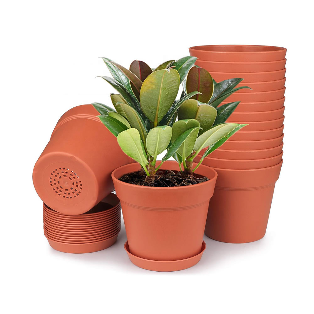 Plastic Seedling Tray Making Machine for Greenhouse Nursery