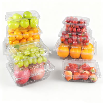 Fruit Box Making Machine for Disposable Plastic Fruit Containers