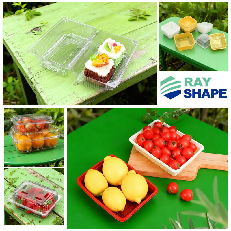 Lightweight Fresh Fruit Box Making Machine Plastic Thermoforming