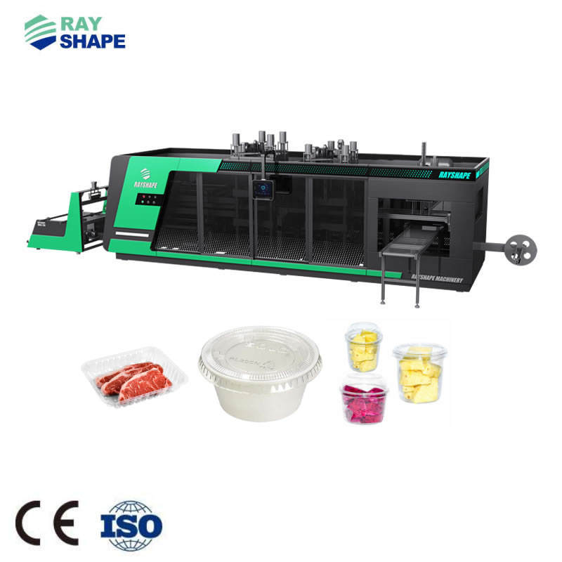PP fruit box thermoforming machine factory