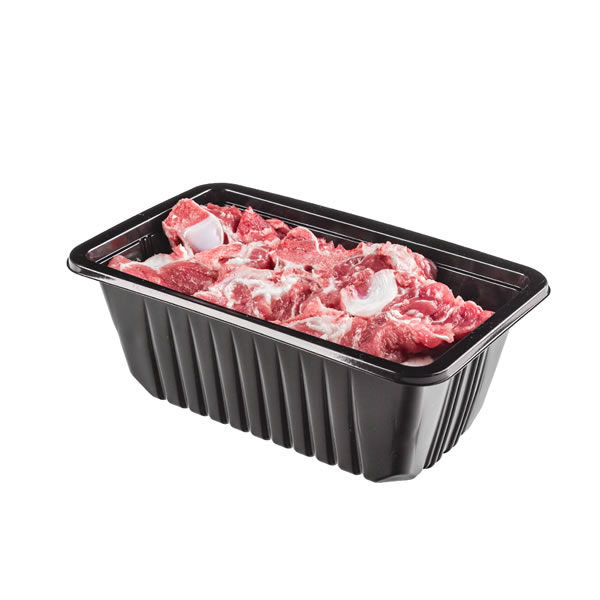 Multi function food container making machine manufacturer