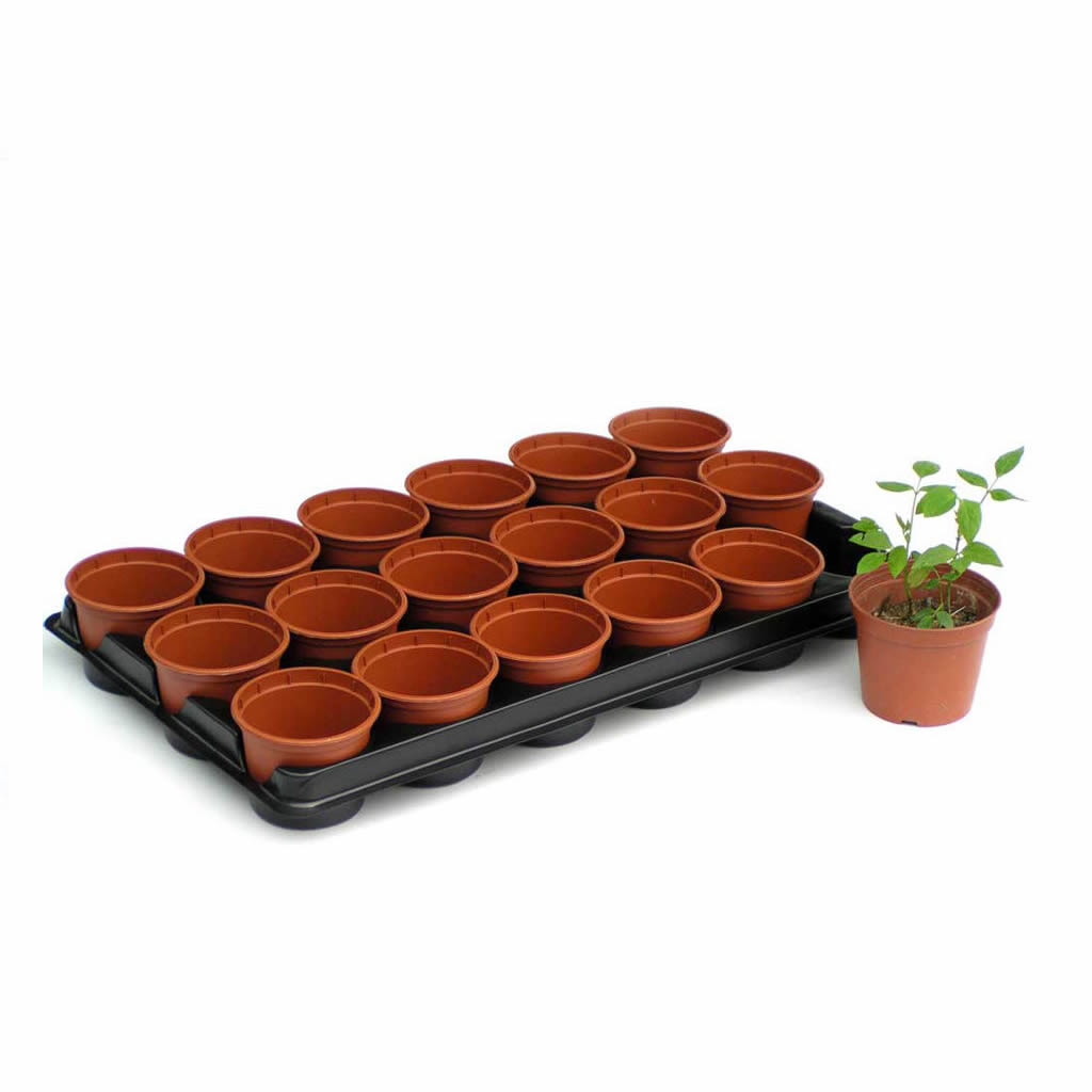 Disposable Plastic Seedling Tray Making Machine