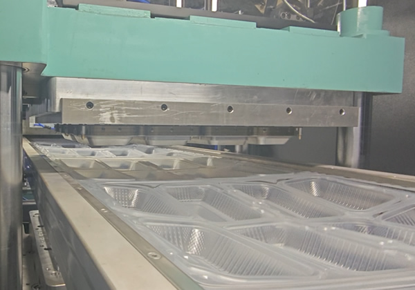 Full Automatic Plastic Lunch Box Making Machine for Takeaway Box and High Speed Plastic Forming Machine for Food Container