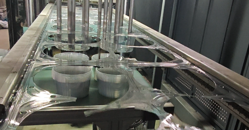 PET Cake Box Thermoforming Machine Test & Display | Wenzhou Rayshape