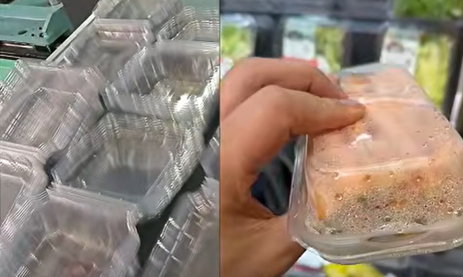 Operation of Full‑Servo Multi‑Station Plastic Thermoforming Machine